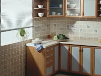Настенная керамическая плитка. Кухня. Фото 16